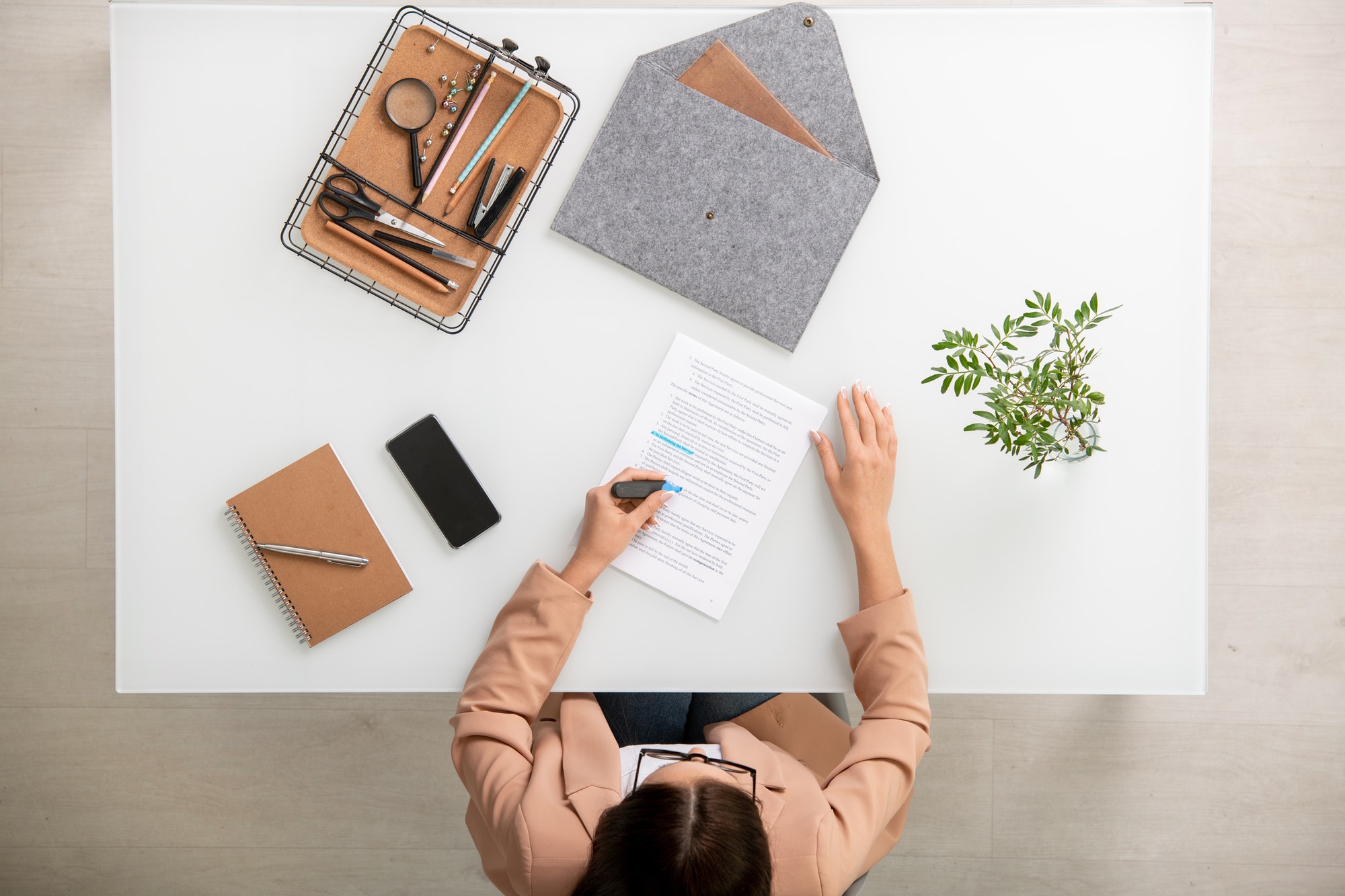 Young elegant businesswoman underlining main points and terms of contract